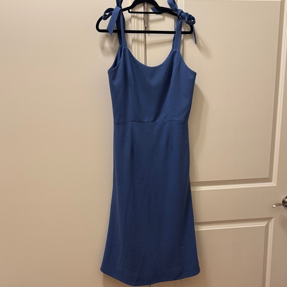 Dress the Population Maxi Dress